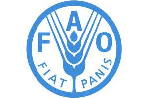 FAO